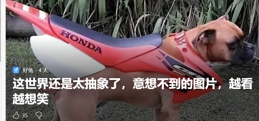 屏幕截图 2024-11-13 100000.png