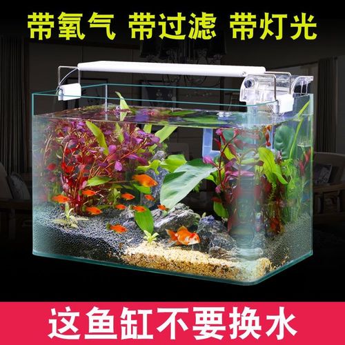 u=2941747241,465793302&fm=224&app=112&f=JPEG.jpg