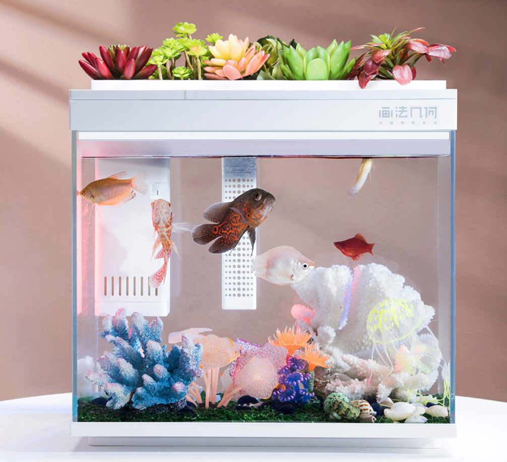 鱼缸.png